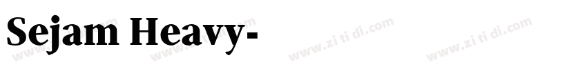 Sejam Heavy字体转换
